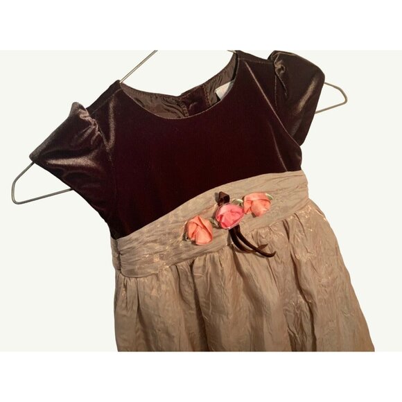 Girls Toddler 3T Dress by Youngland Brown Beige - Picture 2 of 5